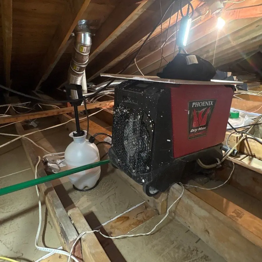 Dehumidifier drying the Glen Cove attic after remediation