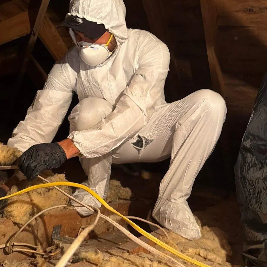 Technician in PPE removing moisture-damaged attic insulation in Glen Cove
