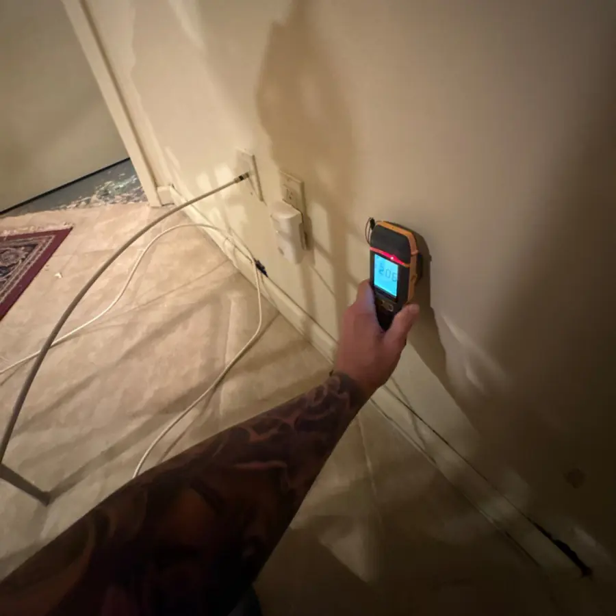 Moisture-mapping a basement wall with a meter before demolition
