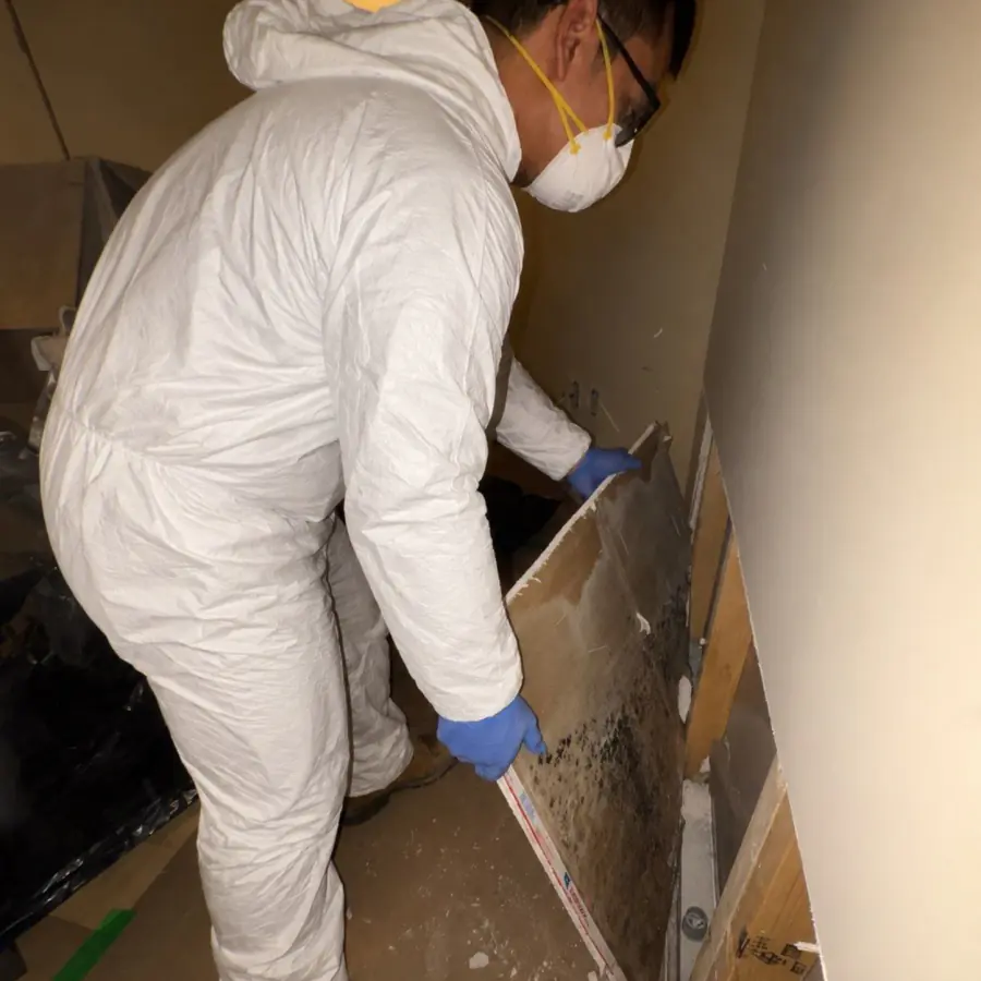 Hidden mold found on the back of a drywall panel