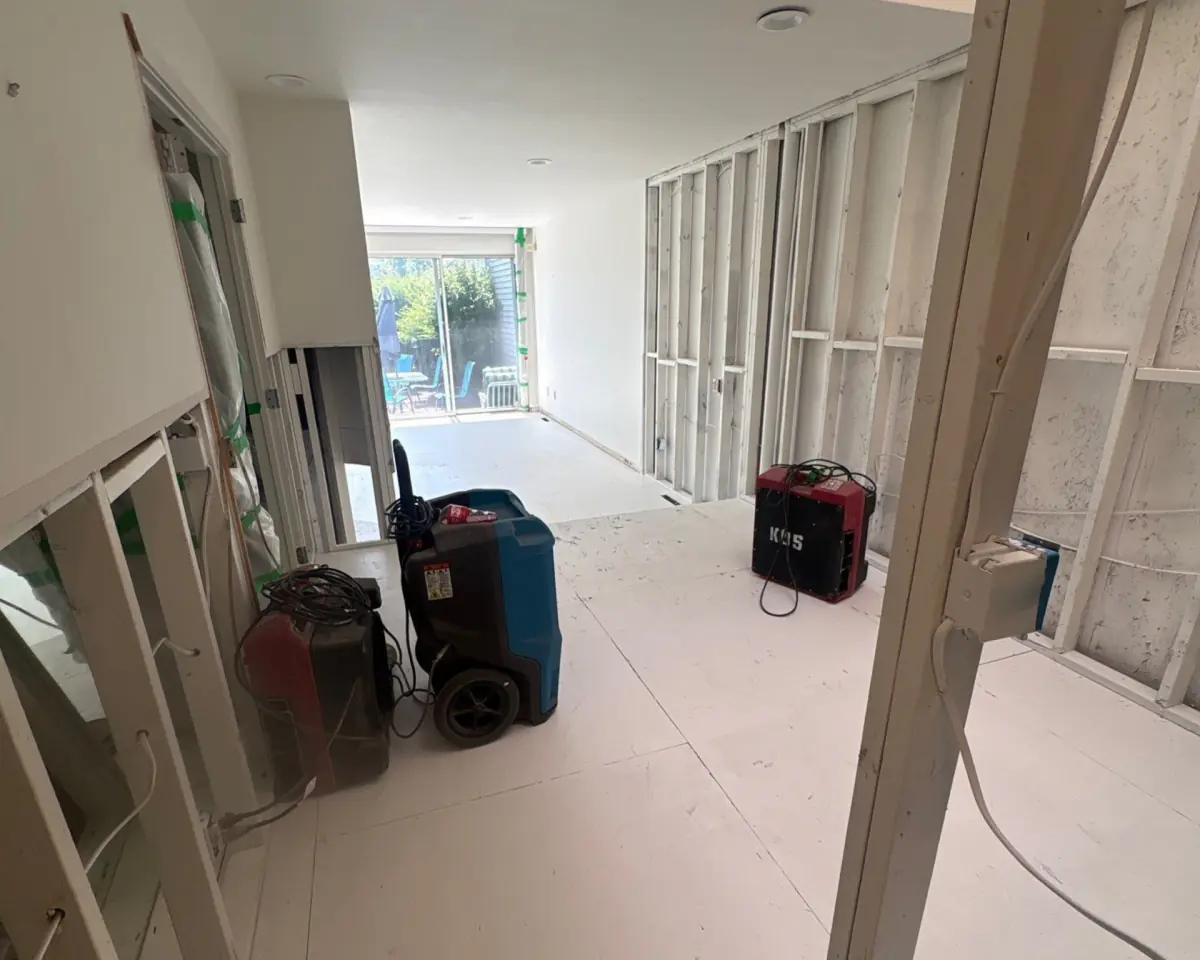 Encapsulated framing after mold remediation in a Westhampton Beach condominium