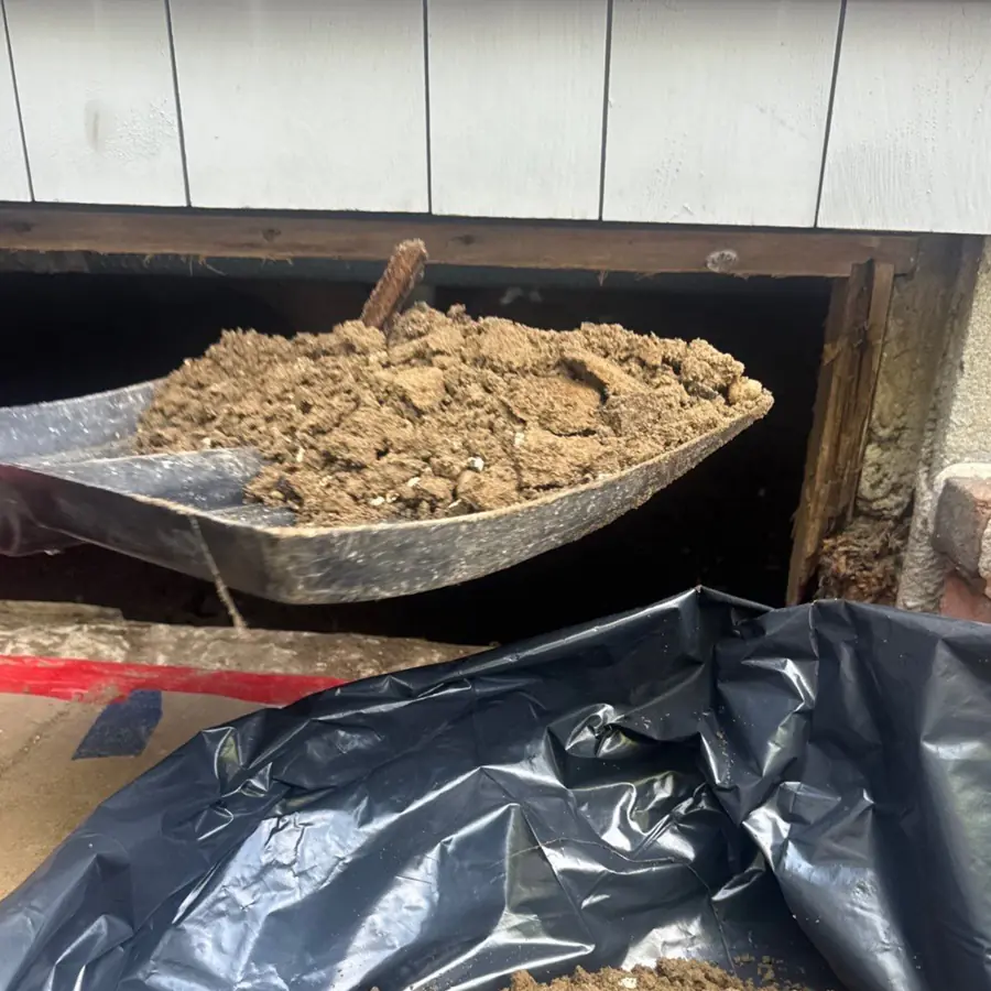 Contaminated soil and insulation removed from the crawlspace