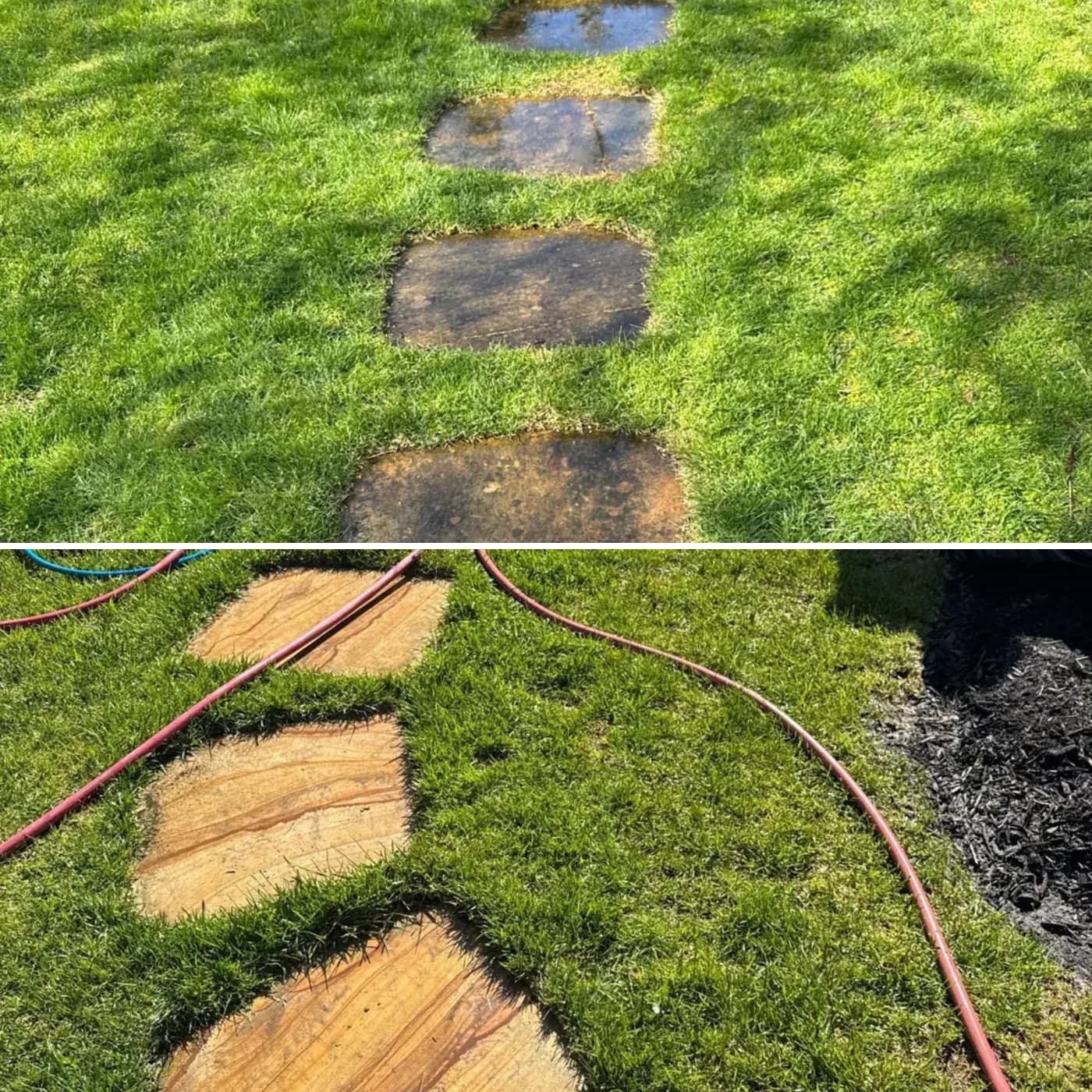 Westhampton stepping stones dark with growth (top) and cleaned (bottom)