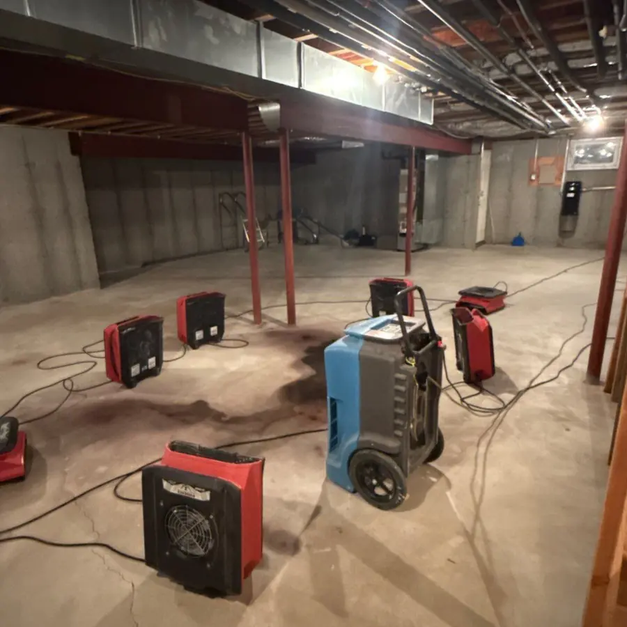 Air movers and an LGR dehumidifier drying a basement in Quogue