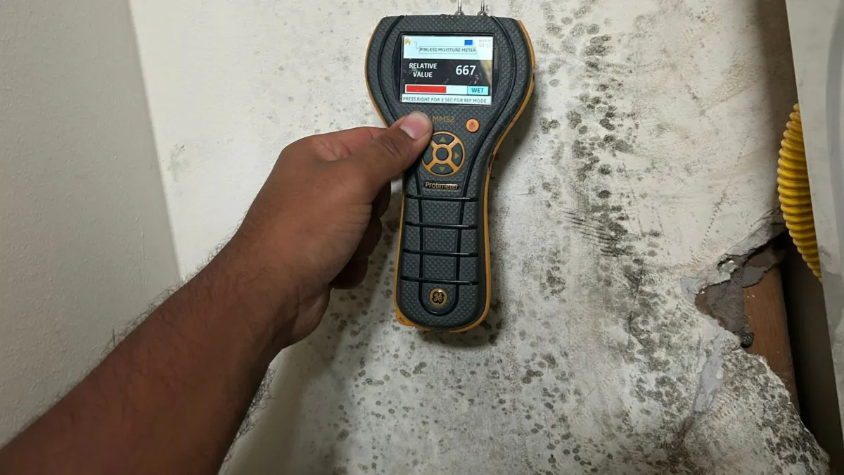 Moisture meter reading wet against a mold-stained wall during a K.O.S. inspection