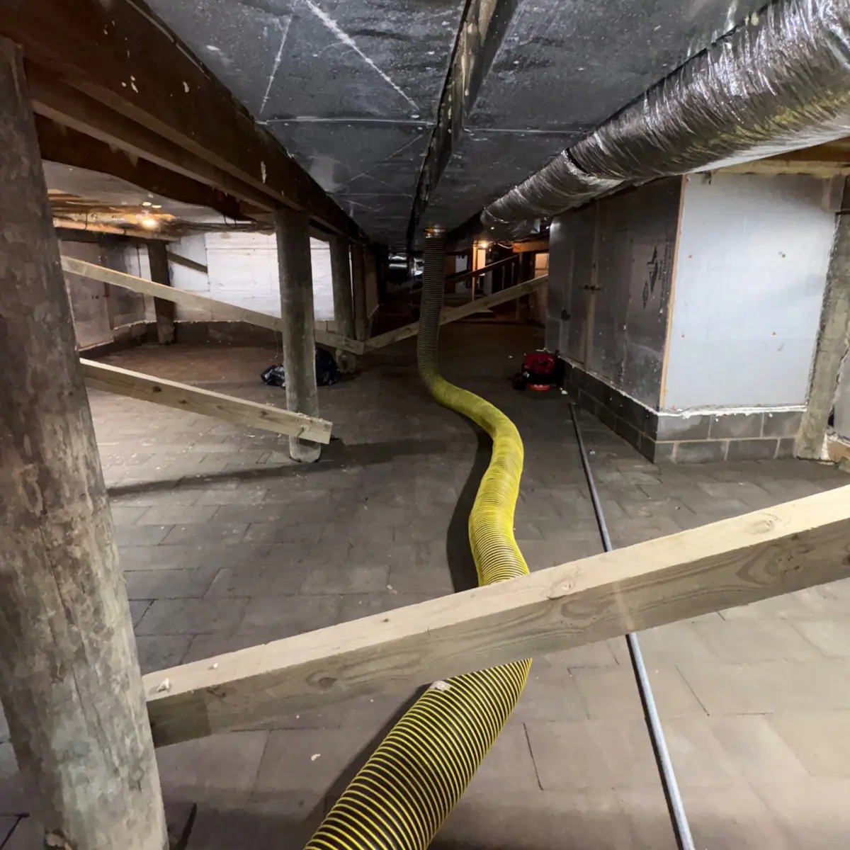 Truck-mounted HEPA vacuum hose connected to the ductwork under a Westhampton Beach home