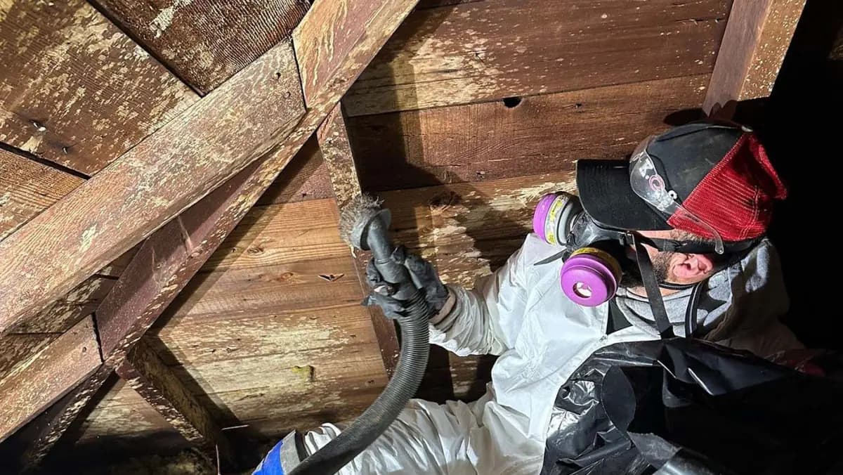 Attic mold remediation and encapsulation completed by K.O.S. Restoration in Kings Park, NY