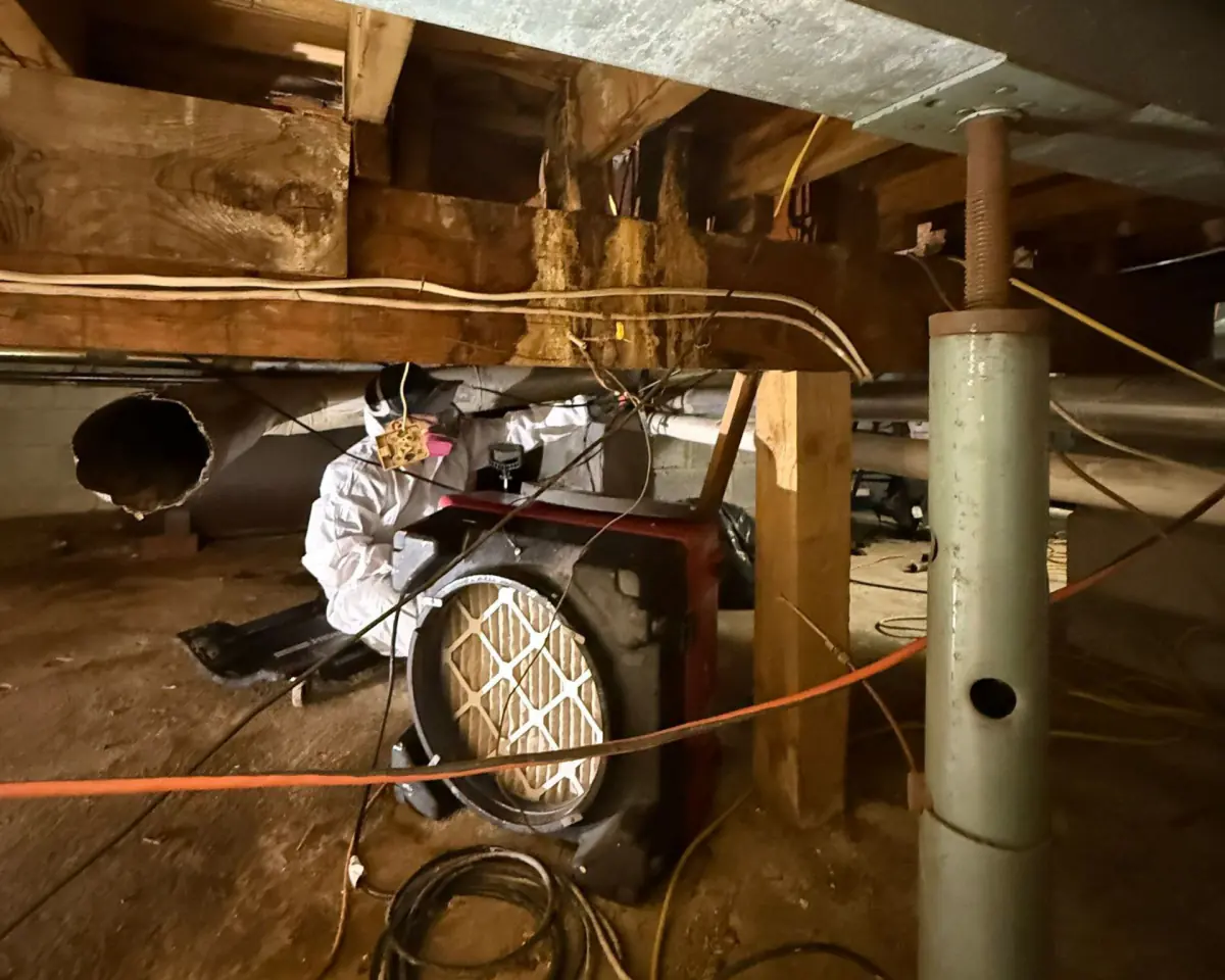 treating mold on a basement floor of a Long Island home