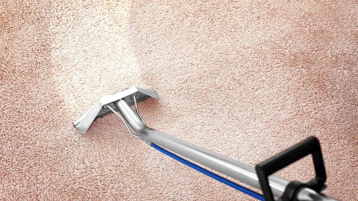 Regular carpet cleaning removes allergeans and improves indoor air quality