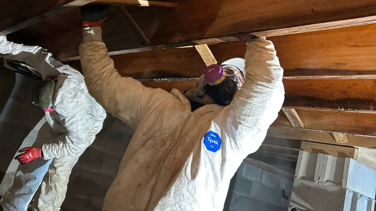 Crawlspace mold remediation at a home in Suffolk County Long Island, New York.