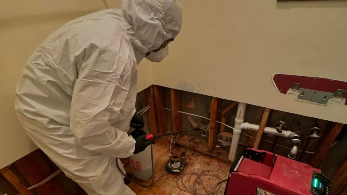 IICRC Certified Mold Remediation Services Long Island