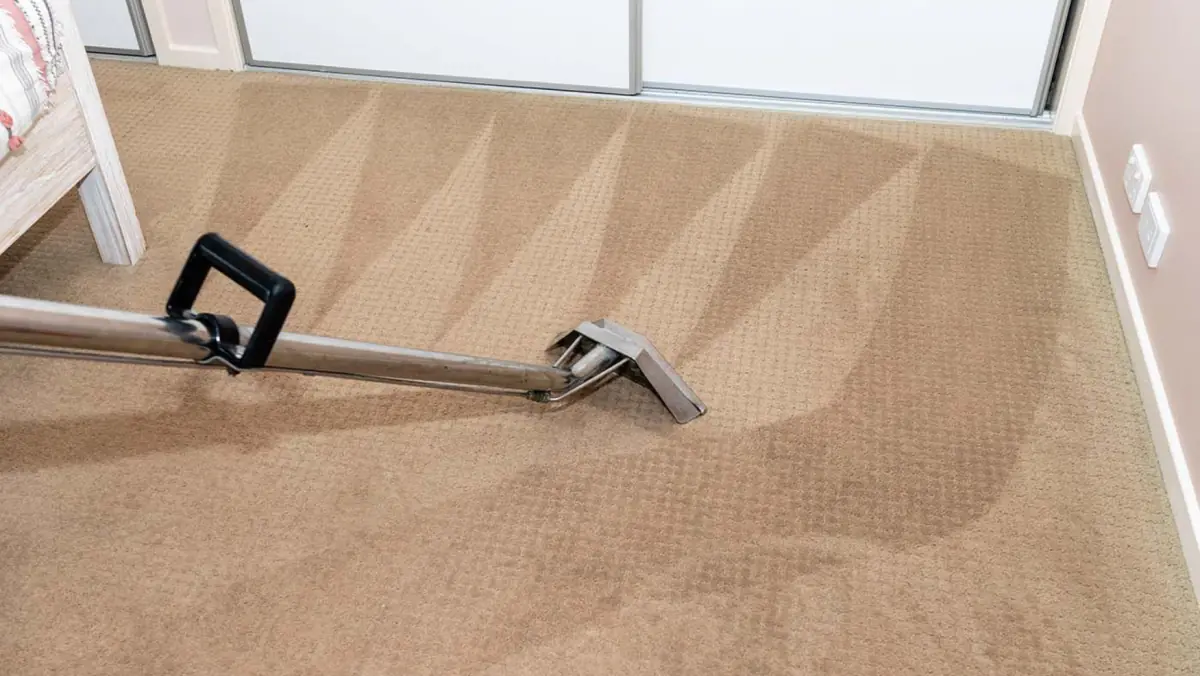 Is professional carpet cleaning worth it compared to rented machines?
