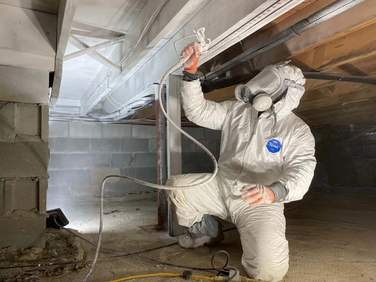 Mold Encapsulation for Basements and Crawl Spaces