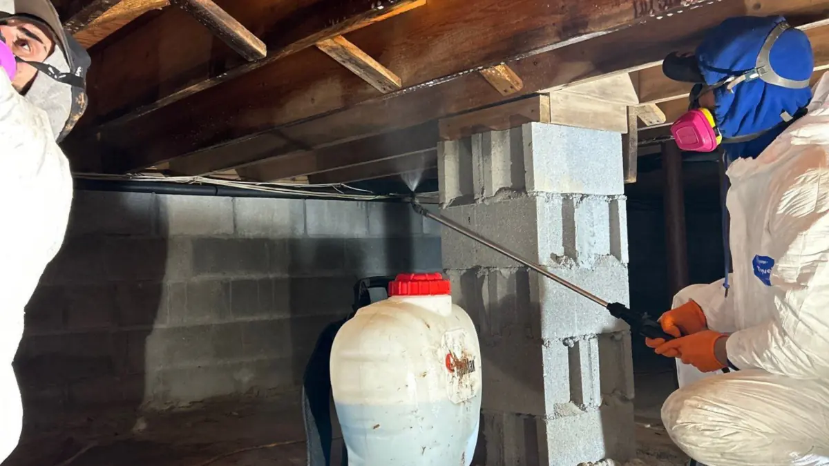 K.O.S. Restoration technicians applying an enzyme based solution to mold growth in a crawlspace on