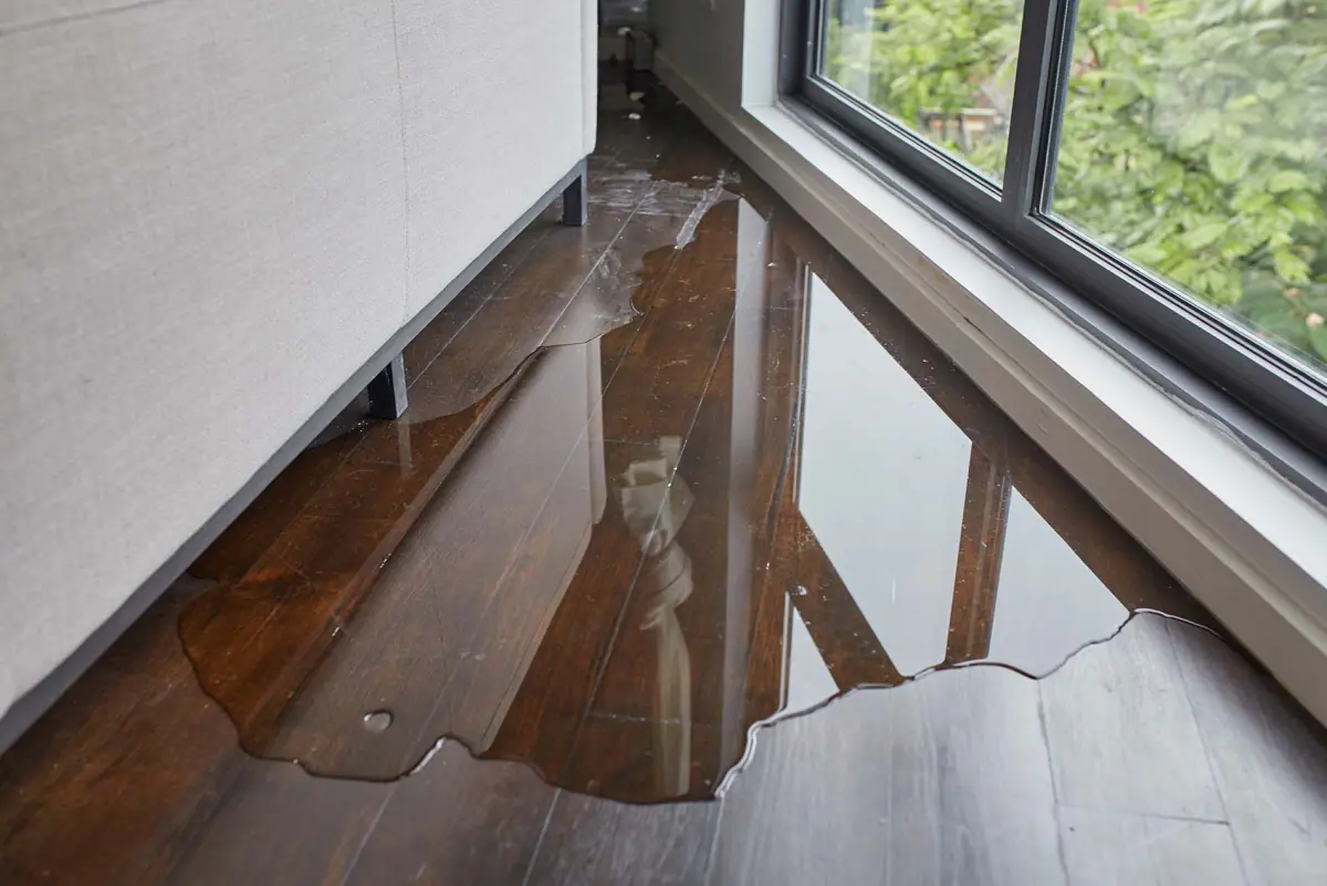 structural drying of a home on Long Island after a flood.