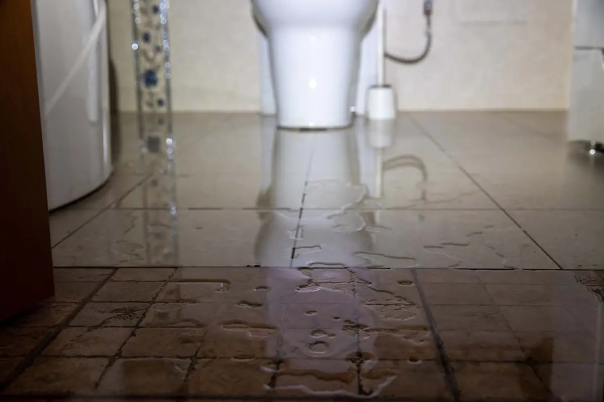 IICRC-certified technician performing sewage backup cleanup in a Long Island home