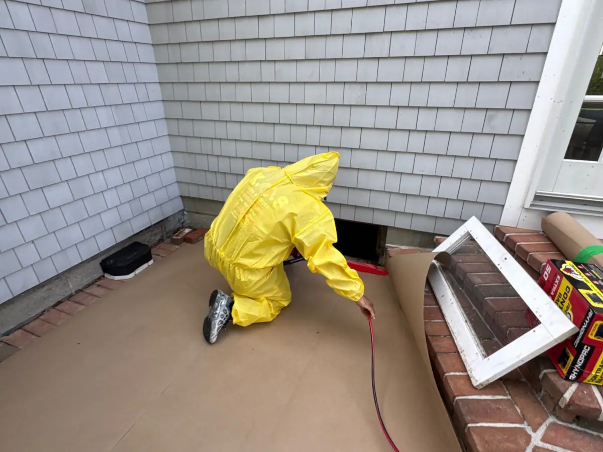setting up home in Westhampton beach with drying and dehumidifying equipment