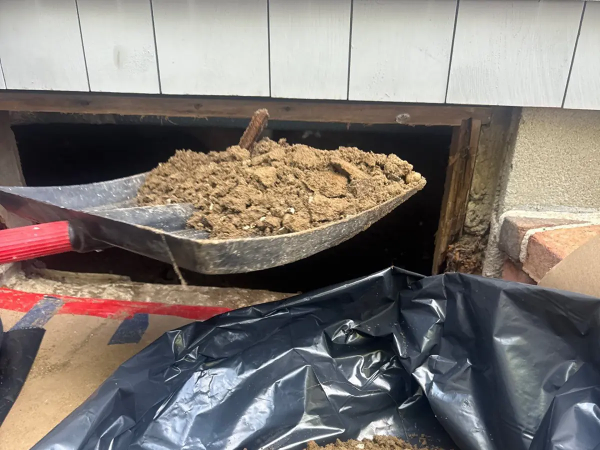 Removing contaminated material from crawlspace after sewage flooding at a home in Westhampton Beach, NY