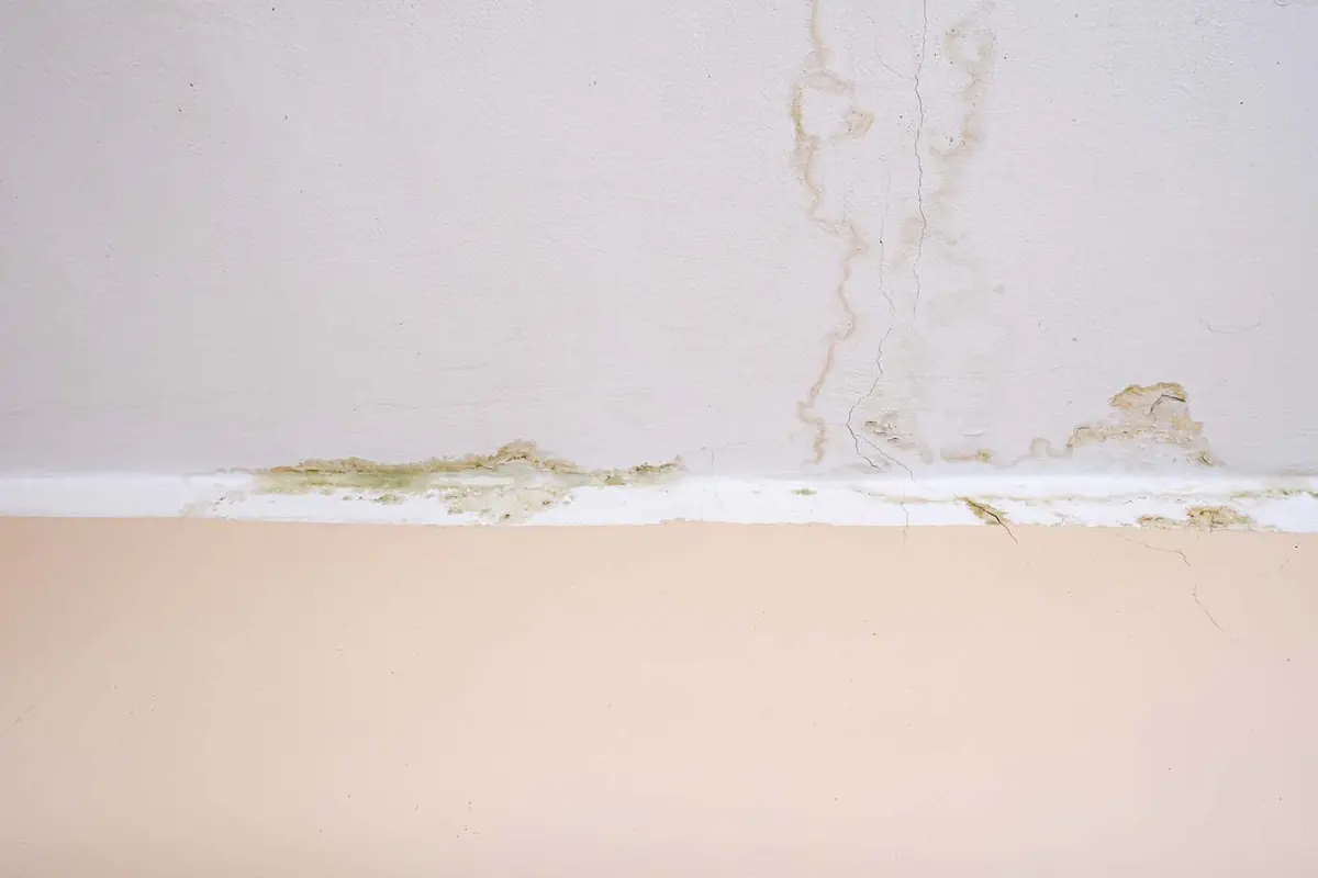 Signs of hidden water damage in homes and commercial properties on Long Island