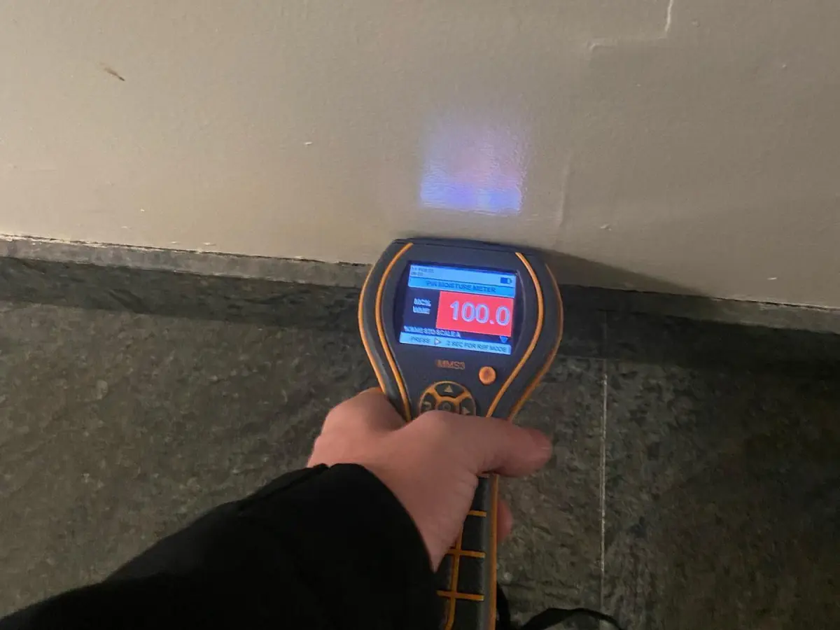 Water damage restoration moisture detection Long Island