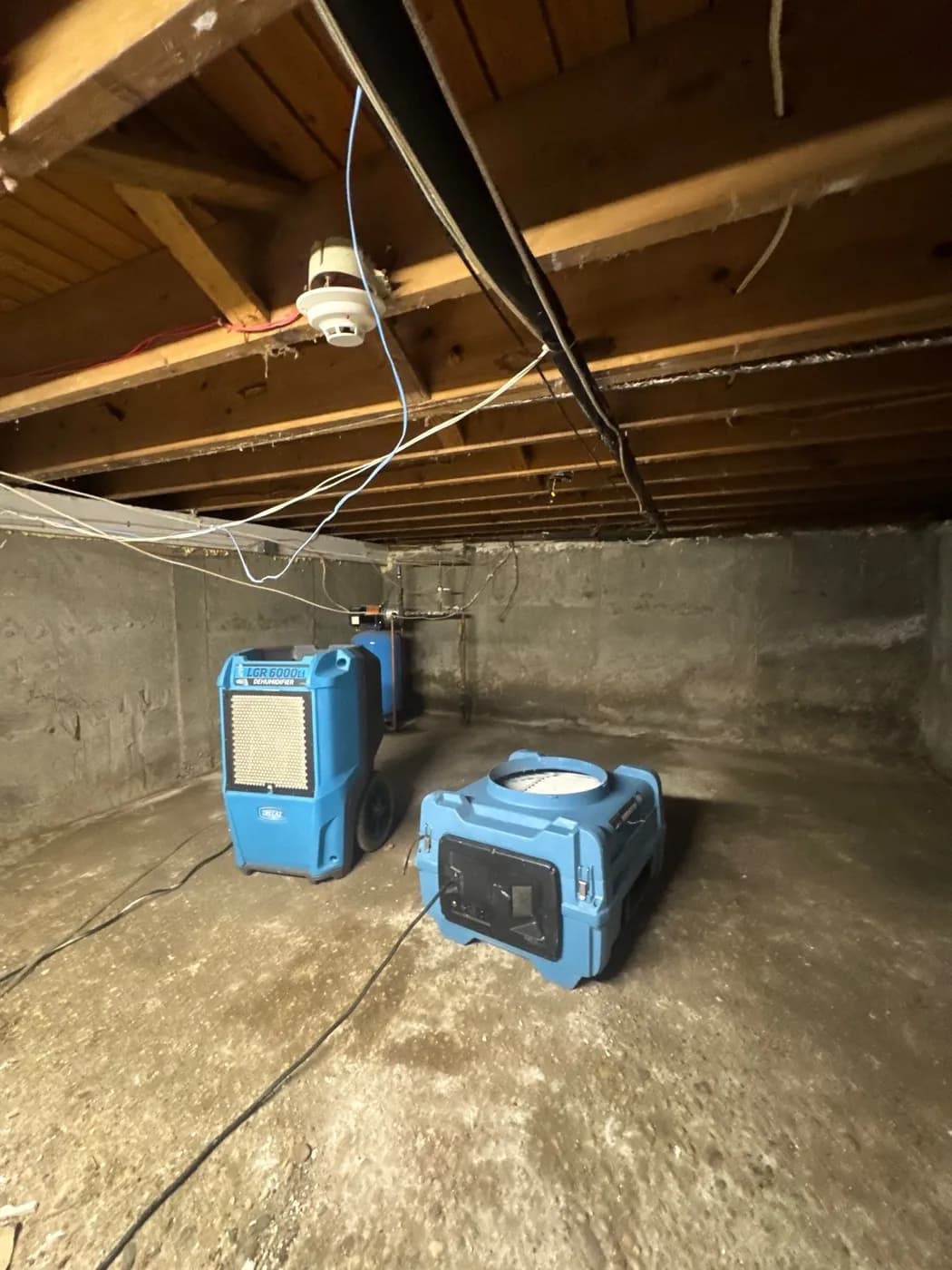 Dehumidifiers and drying equipment running in a Greenlawn NY basement