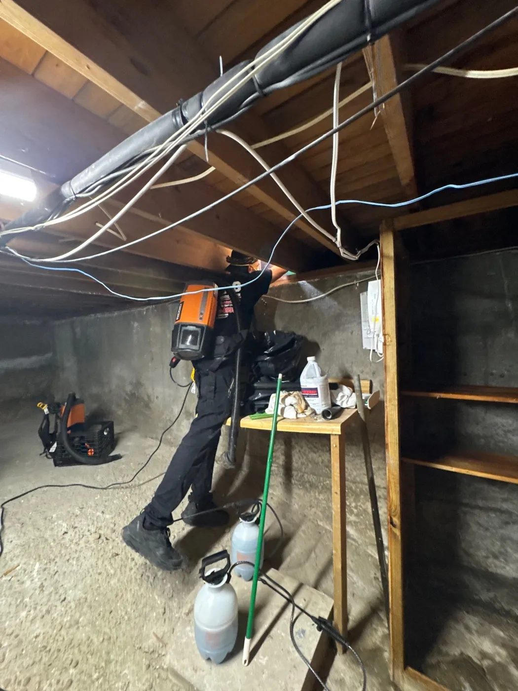 K.O.S. technician applying antimicrobial treatment to basement ceiling joists in Greenlawn NY