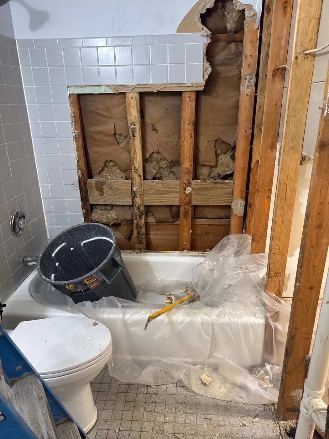 Bathroom wall opened to the studs during mold remediation in Greenlawn NY