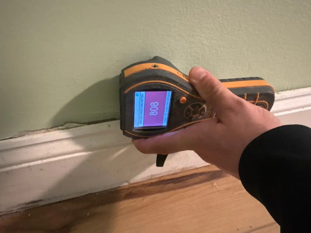 moisture reading after flooding at a home in Stony Brook NY