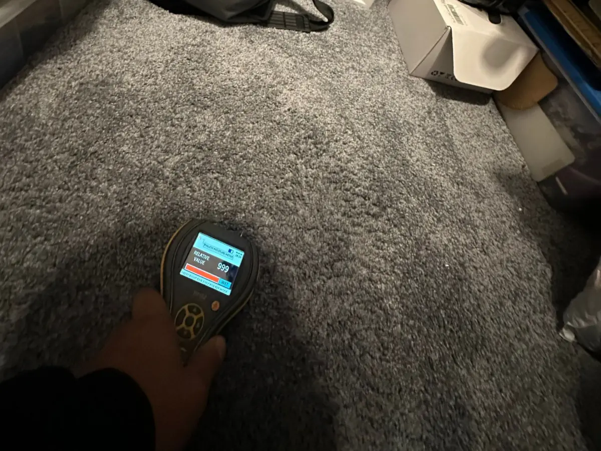 Moisture meter reading on the bedroom carpet during drying