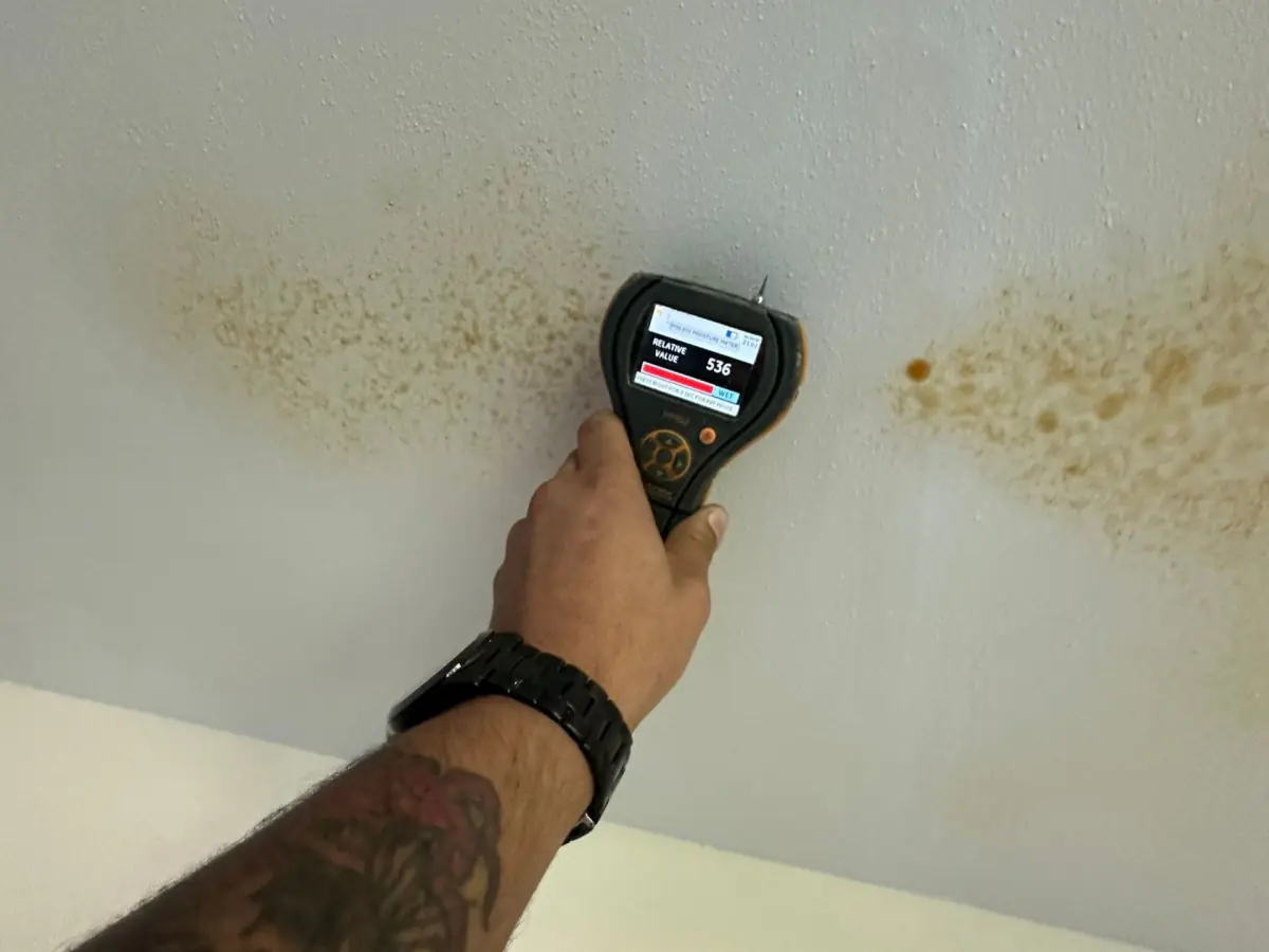 Moisture meter on a water-stained wall