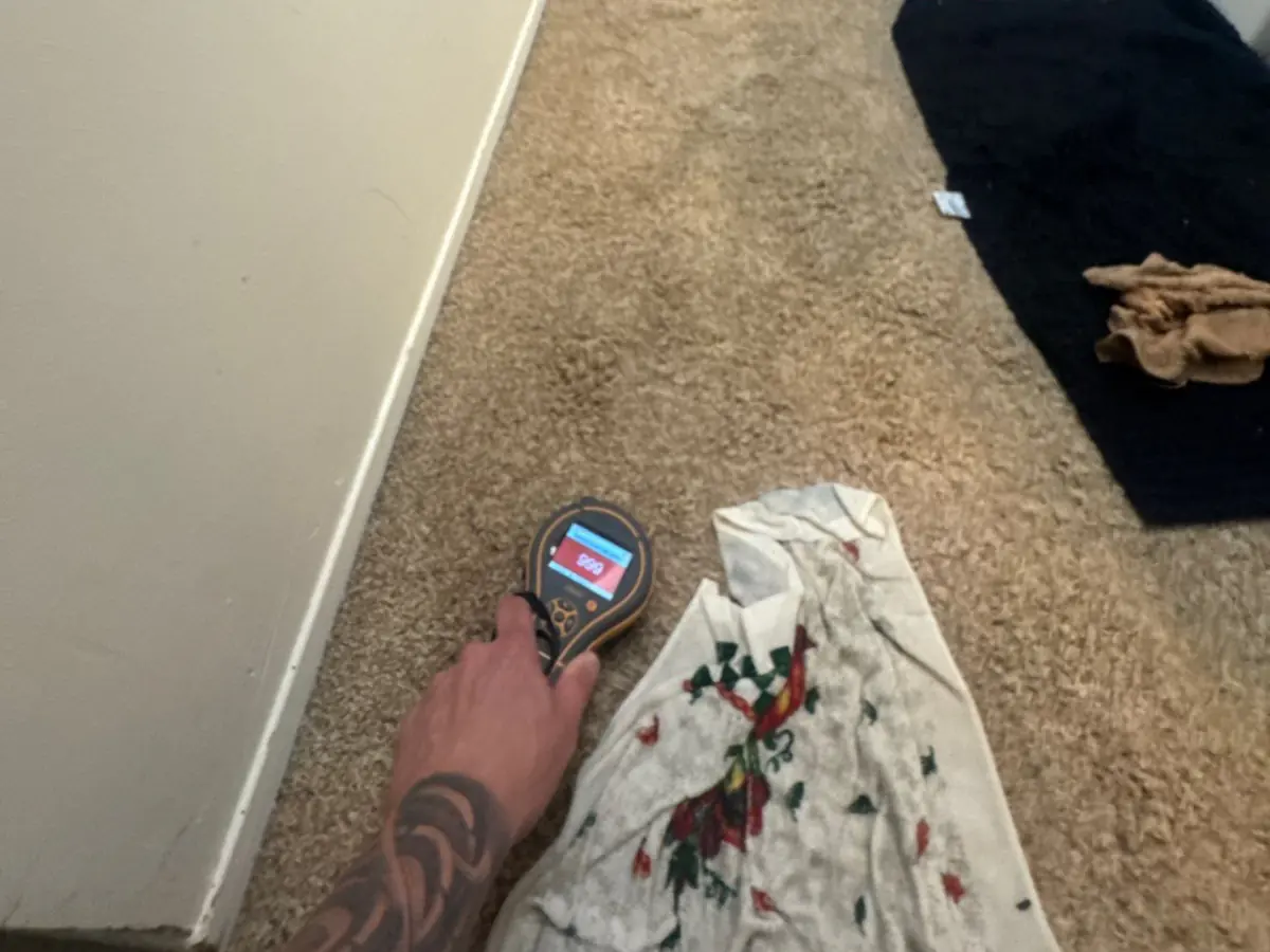 Moisture meter reading the wet carpet at the base of a wall