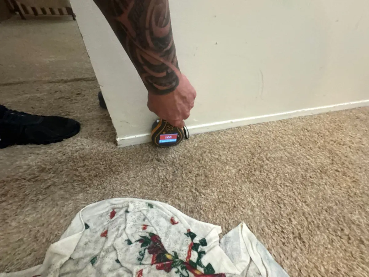 Technician checking moisture along the carpet edge by the baseboard