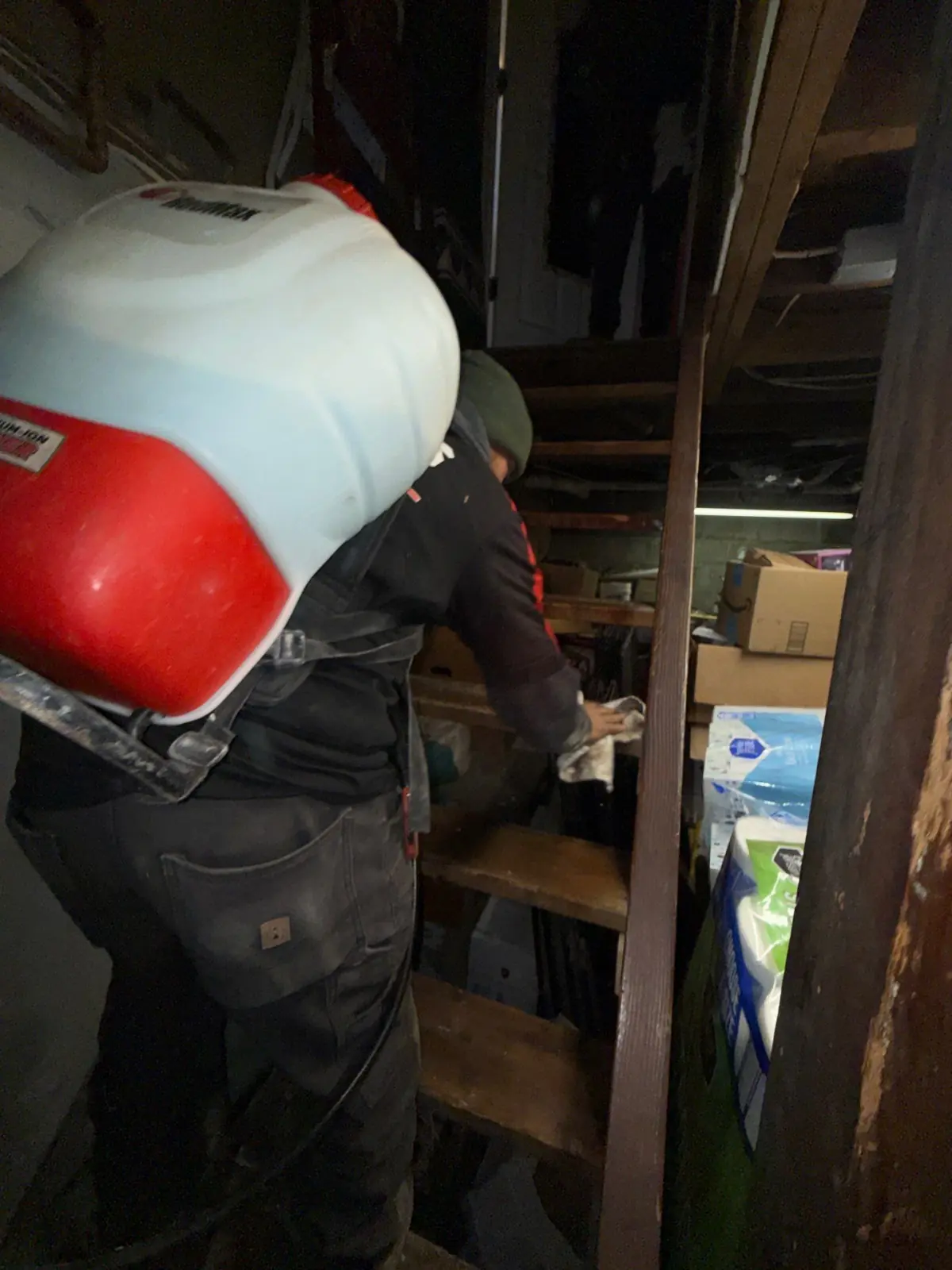 Enzyme spraying of mold at a home in Patchogue NY