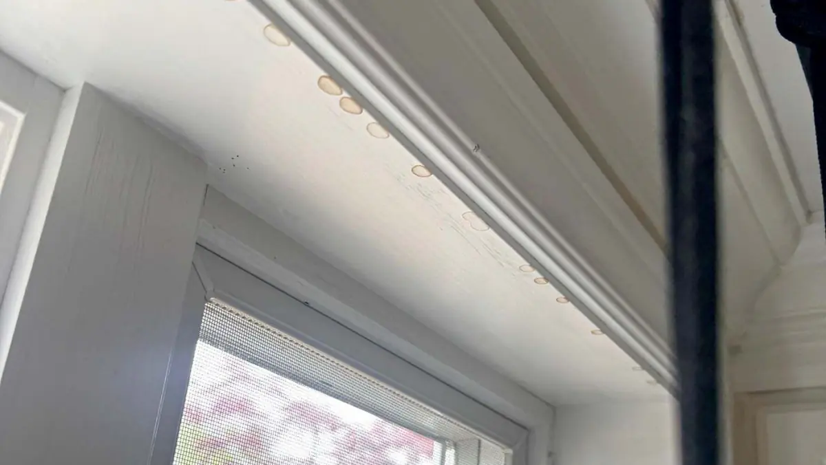 Water-damaged ceiling and mold spreading in a Long Island home
