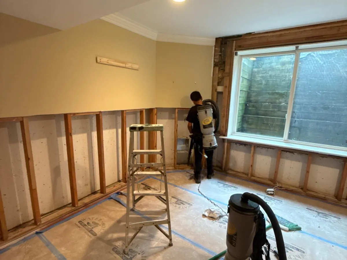 IICRC Mold Remediation Long Island