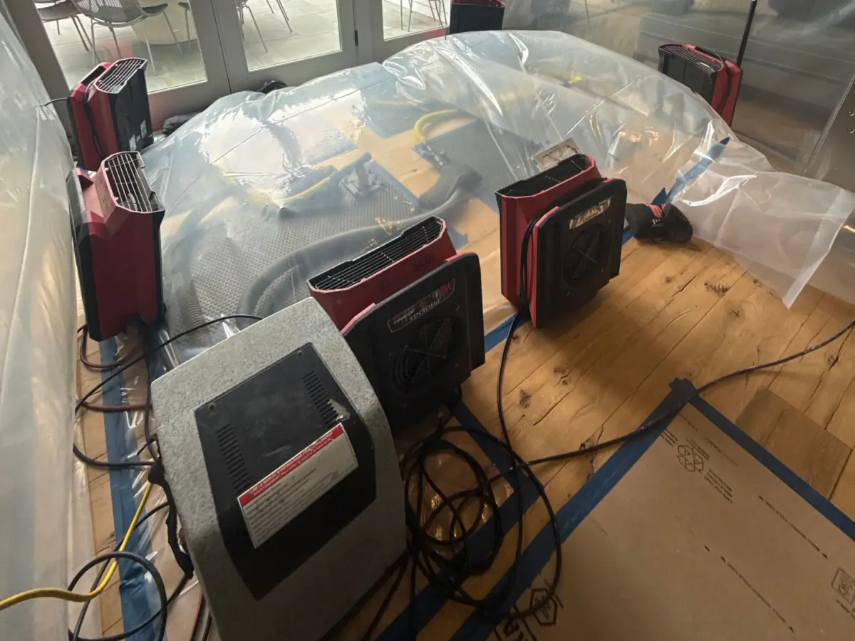 IICRC Water Damage Restoration Long Island
