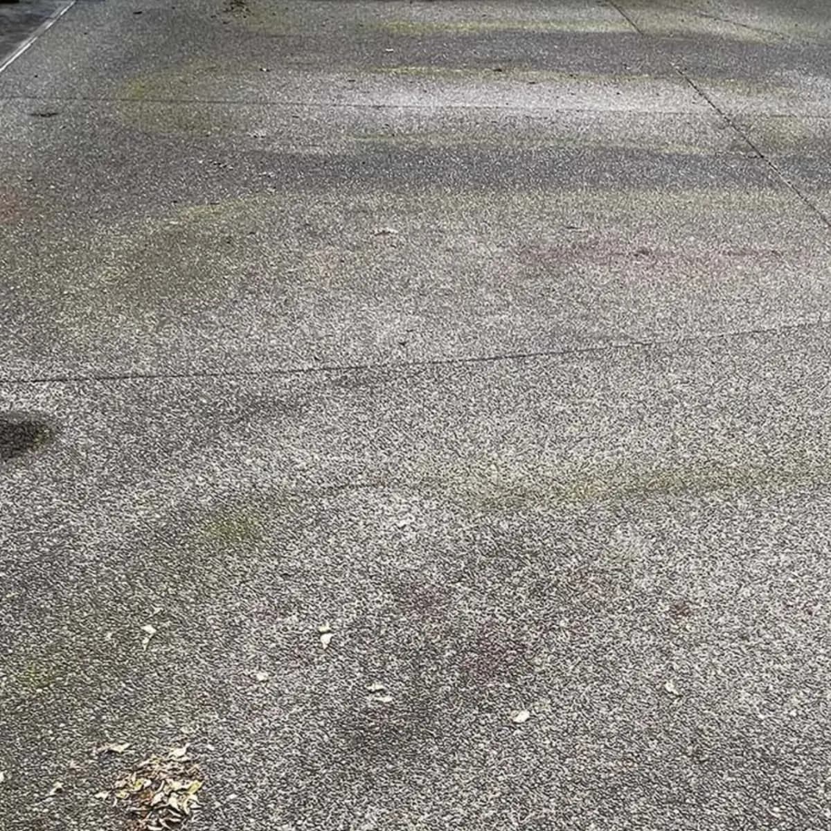 Concrete driveway darkened with algae, dirt and staining