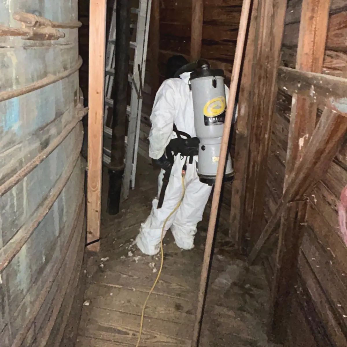K.O.S. Restoration team doing wildlife sanitation in a historic windmill in Southampton, NY